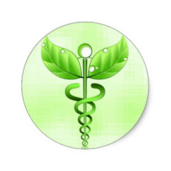 Logotipo Terapia Integrativa